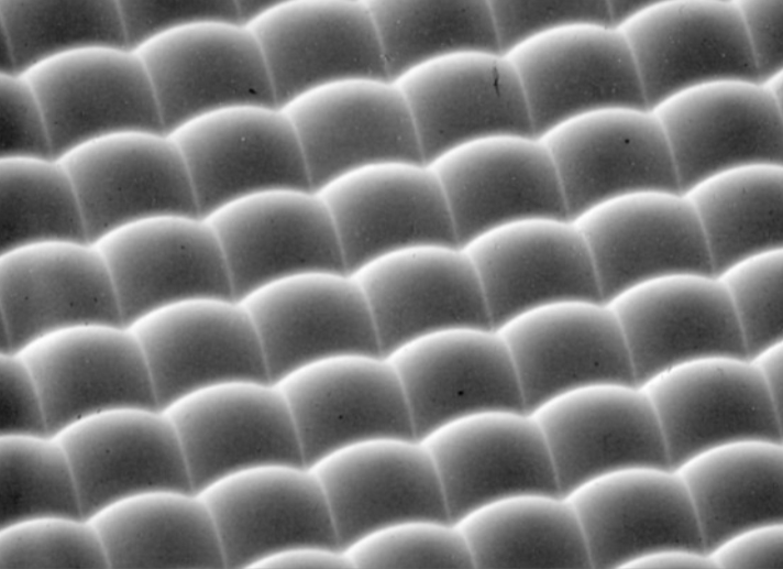 RPC Microlens Arrays 微透镜阵列 (透射光谱400-2000nm 焦距4-30mm) 